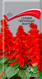 Семена Сальвия Сверкающая дварф ред 0,1 г