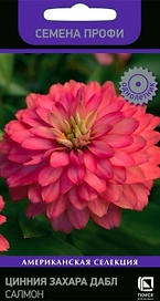 Семена Циния Захара дабл салмон 5 шт