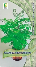 Семена Жакаранда мимозолистная 5 шт