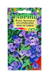 Семена флокс очарование фиолетовое 0,05 г