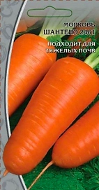 Семена Моркови Шантанэ 2г