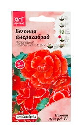 Семена бегония америгибрлэйс ред 5 шт