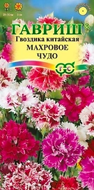 Семена Гвоздика китайская Махровое чудо смесь 0,1 г 