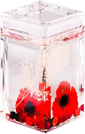 Стакан для зубных щеток с разделителем Verran Vermilion прозрачный