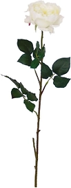 Искусственный цветок Роза английская кремовая 76 см