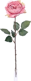 Искусственный цветок Роза английская розовая 54 см
