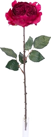 Искусственный цветок Роза английская темно-красная 54 см