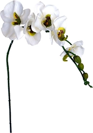 Искусственный цветок Орхидея кремовая 92 см