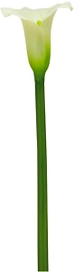 Искусственный цветок Калла кремовая 82 см