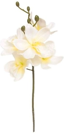 Искусственный цветок Орхидея кремовая 34 см