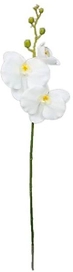Искусственный цветок Орхидея Фаленопсис белая 63 см