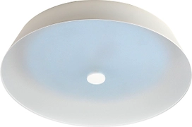 Светильник потолочный светодиодный ЭРА Locus белый