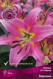 Луковицы Лилии Корсини 1 шт