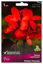 Луковицы Канна Хэппи Уильма 1 шт