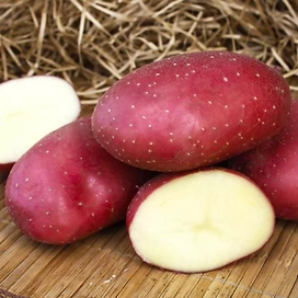 Картофель семенной Маяк 2 кг