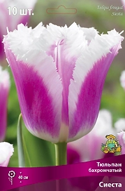 Тюльпан БАХРОМЧАТЫЙ СИЕСТА 10 шт