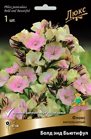 Флокс МЕТЕЛЬЧАТЫЙ БОЛД ЭНД БЬЮТИФУЛ 1 шт