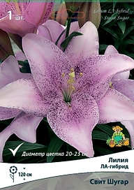 Лилия ЛА-ГИБРИД СВИТ ШУГАР 1 шт