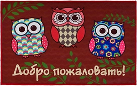 Коврик Vortex влаговпитывающий Velur 50x80 см Совы 