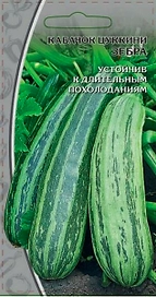 Кабачок Зебра, 1г