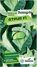 Семена капусты белокочанной SEMINIS АТРИЯ  F1