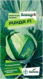 Семена капусты белокачанной SEMINIS РИНДА F1