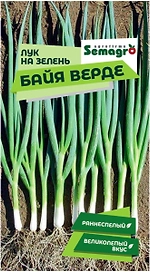 Семена лука на зелень SEMINIS БАЙЯ ВЕРДЕ