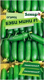 Семена огурца SEMINIS БЭБИ МИНИ F1