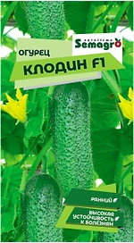 Семена огурца SEMINIS КЛОДИН F1