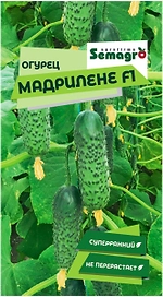 Семена огурца SEMINIS МАДРИЛЕНЕ F1