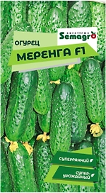 Семена огурца SEMINIS МЕРЕНГА F1