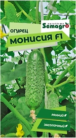 Семена огурца SEMINIS МОНИСИЯ F1