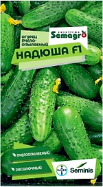 Семена огурца SEMINIS НАДЮША F1