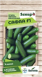 Семена огурца SEMINIS САФАА F1