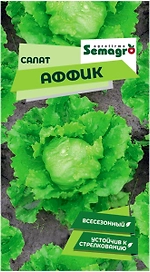 Семена салата SEMINIS АФФИК