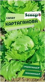 Семена салата SEMINIS КАРТАГАНОВ