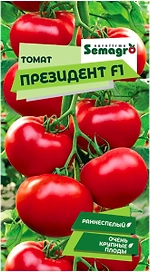 Семена томата SEMINIS ПРЕЗИДЕНТ F1