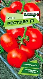Семена томата SEMINIS РЕСТЛЕР F1