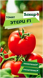 Семена томата SEMINIS ЭТЕРИ F1