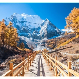 Фотообои Симфония Bellissimo Красочная осень 210х200 см