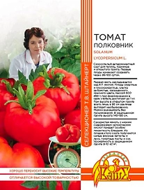 Семена ТОМАТ ПОЛКОВНИК 20 ШТ ШТАЙНЕРТ