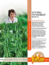 Семена ОГУРЕЦ ПУЧКОВЫЙ БУМ F1 5 ШТ ШТАЙНЕРТ