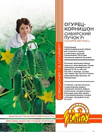 Семена ОГУРЕЦ СИБИРСКИЙ ПУЧОК F1 8 ШТ ШТАЙНЕРТ
