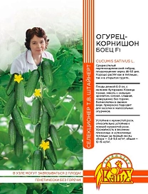 Семена ОГУРЕЦ КОРНИШОН БОЕЦ F1 10 ШТ ШТАЙНЕРТ