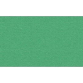 Обои Erismann 60465-07 виниловые 1,06х10,05 м, зеленый
