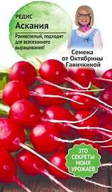 Семена РЕДИС АСКАНИЯ  2 Г