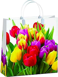 Сумка пластиковая XL Арт и Дизайн в ассортименте 420х320 мм