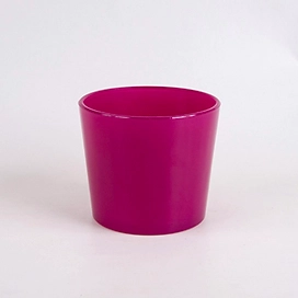 Кашпо NiNaGlass Влада d17 см 2 л стеклянное белое