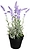 Искусственный цветок лаванда фиолетовая 37 см в кашпо 