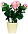 Искусственный цветок пеларгония розовая 36 см в горшке